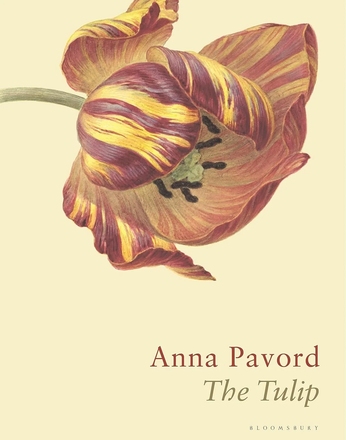 Best Books on Tulips — Travel & Culture Salon